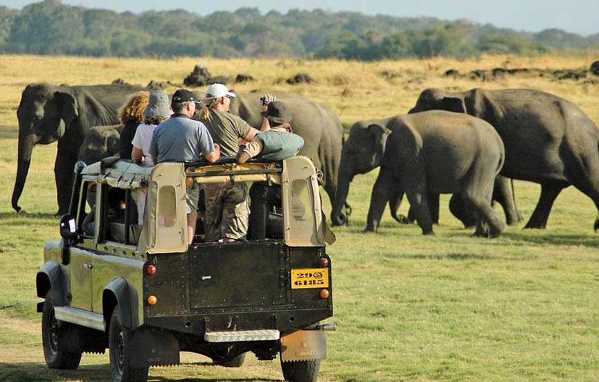 Yala National Park